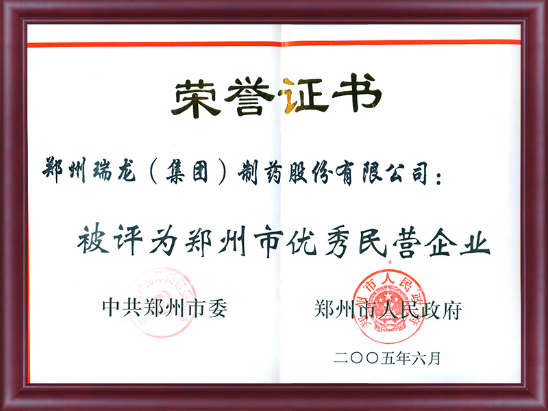 優(yōu)秀民營(yíng)企業(yè)